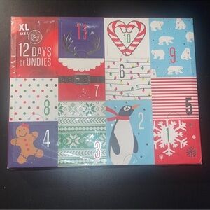 12 Days of Christmas Countdown to Christmas Panties Size XL